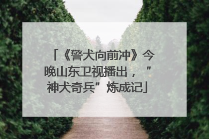 《警犬向前冲》今晚山东卫视播出，“神犬奇兵”炼成记