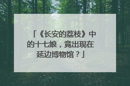 《长安的荔枝》中的十七娘，竟出现在延边博物馆？