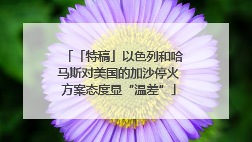 「特稿」以色列和哈马斯对美国的加沙停火方案态度显“温差”