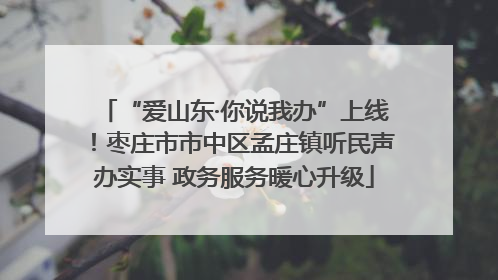 “爱山东·你说我办”上线！枣庄市市中区孟庄镇听民声办实事 政务服务暖心升级