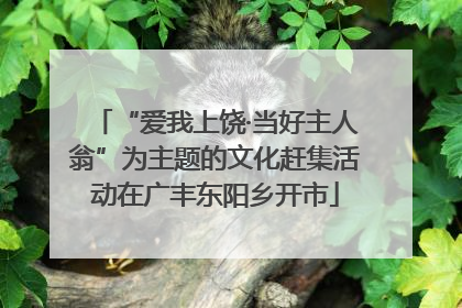 “爱我上饶·当好主人翁”为主题的文化赶集活动在广丰东阳乡开市