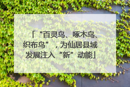 “百灵鸟、啄木鸟、织布鸟”，为仙居县域发展注入“新”动能