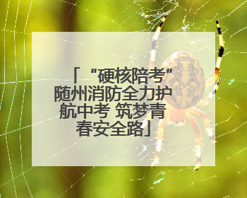 “硬核陪考”随州消防全力护航中考 筑梦青春安全路