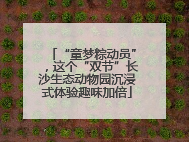“童梦粽动员”，这个“双节”长沙生态动物园沉浸式体验趣味加倍