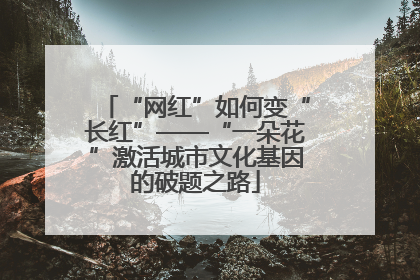 “网红”如何变“长红”——“一朵花”激活城市文化基因的破题之路