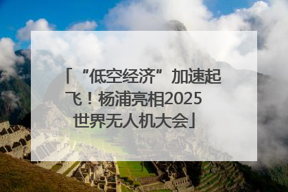 “低空经济”加速起飞！杨浦亮相2025世界无人机大会