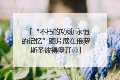 “不朽的功勋 永恒的记忆”图片展在俄罗斯圣彼得堡开幕