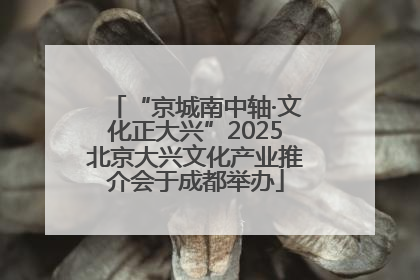 “京城南中轴·文化正大兴”2025北京大兴文化产业推介会于成都举办
