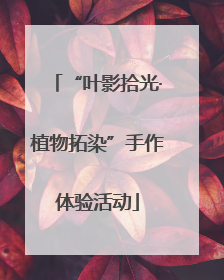 “叶影拾光·植物拓染”手作体验活动