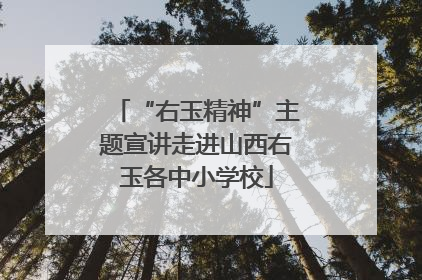 “右玉精神”主题宣讲走进山西右玉各中小学校