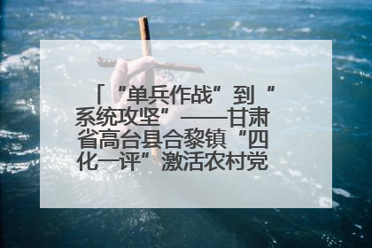 “单兵作战”到“系统攻坚”——甘肃省高台县合黎镇“四化一评”激活农村党员管理新引擎