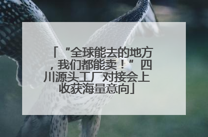 “全球能去的地方，我们都能卖！”四川源头工厂对接会上收获海量意向