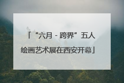“六月 - 跨界”五人绘画艺术展在西安开幕