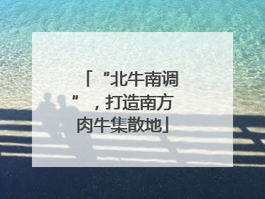 “北牛南调”，打造南方肉牛集散地