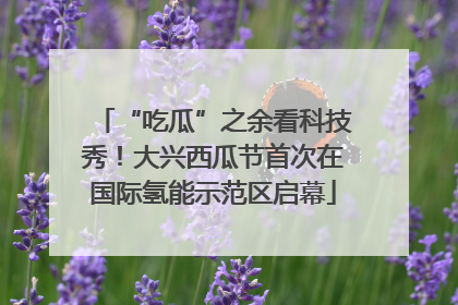 “吃瓜”之余看科技秀！大兴西瓜节首次在国际氢能示范区启幕