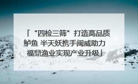 “四检三筛”打造高品质鲈鱼 半天妖携手闽威助力福鼎渔业实现产业升级