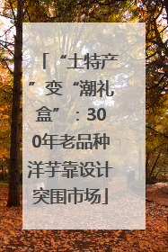 “土特产”变“潮礼盒”：300年老品种洋芋靠设计突围市场