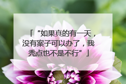 “如果真的有一天，没有案子可以办了，我秃点也不是不行”
