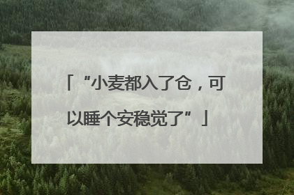 “小麦都入了仓，可以睡个安稳觉了”