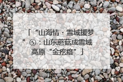 “山海情・雪域援梦”⑤：山东蘑菇成雪域高原“金疙瘩”