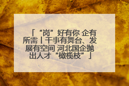 “岗”好有你 企有所需丨干事有舞台、发展有空间 河北国企抛出人才“橄榄枝”