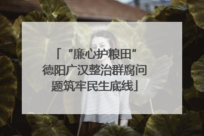 “廉心护粮田” 德阳广汉整治群腐问题筑牢民生底线