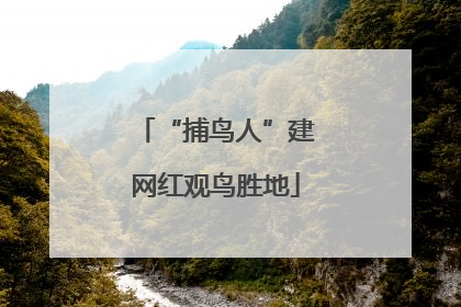 “捕鸟人”建网红观鸟胜地