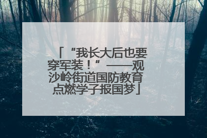 “我长大后也要穿军装！”——观沙岭街道国防教育点燃学子报国梦