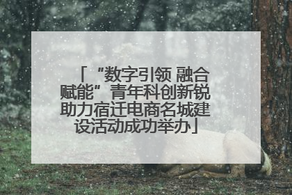 “数字引领 融合赋能”青年科创新锐助力宿迁电商名城建设活动成功举办