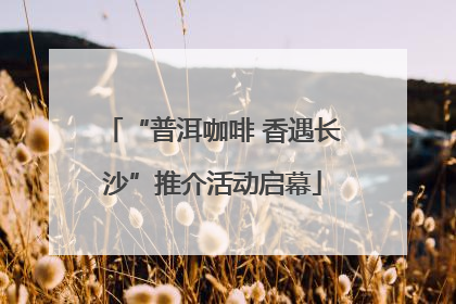 “普洱咖啡 香遇长沙”推介活动启幕
