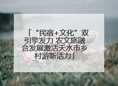 “民宿+文化”双引擎发力 农文旅融合发展激活天水市乡村游新活力