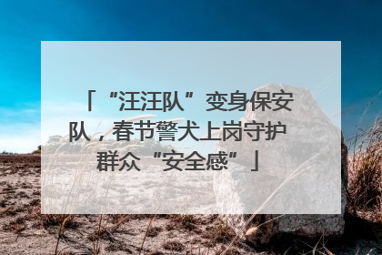 “汪汪队”变身保安队，春节警犬上岗守护群众“安全感”