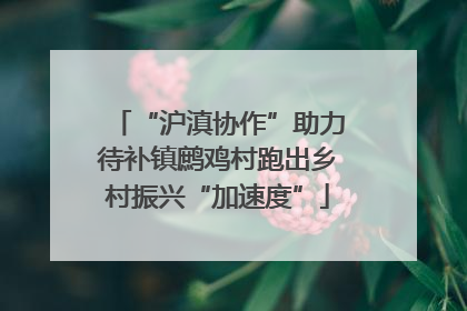 “沪滇协作”助力待补镇鹧鸡村跑出乡村振兴“加速度”