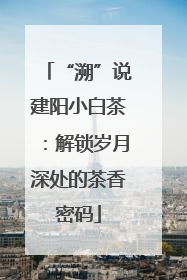 “溯”说建阳小白茶：解锁岁月深处的茶香密码