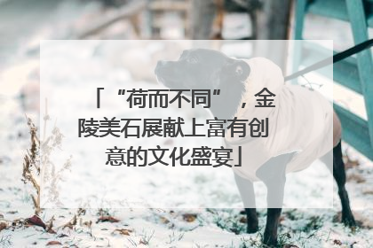 “荷而不同”，金陵美石展献上富有创意的文化盛宴