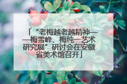 “老梅越老越精神——梅雪峰、梅纯一艺术研究展”研讨会在安徽省美术馆召开