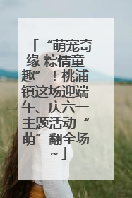 “萌宠奇缘 粽情童趣”！桃浦镇这场迎端午、庆六一主题活动“萌”翻全场～