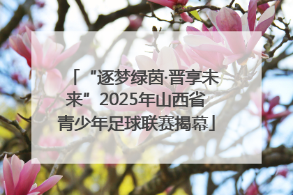 “逐梦绿茵·晋享未来”2025年山西省青少年足球联赛揭幕