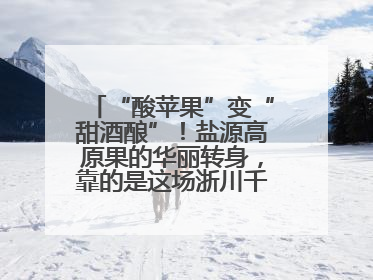 “酸苹果”变“甜酒酿”！盐源高原果的华丽转身，靠的是这场浙川千里“联姻”