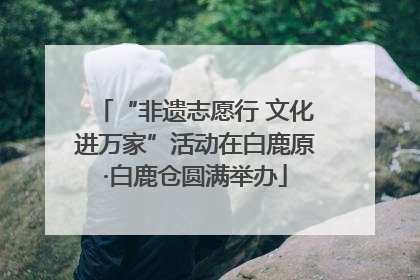 “非遗志愿行 文化进万家”活动在白鹿原·白鹿仓圆满举办