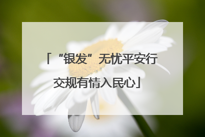 “银发”无忧平安行 交规有情入民心
