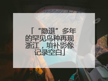 “隐退”多年的罕见鸟种再现浙江，填补影像记录空白