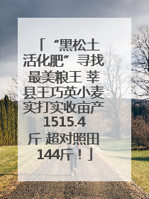 “黑松土 活化肥”寻找最美粮王 莘县王巧英小麦实打实收亩产1515.4斤 超对照田144斤！