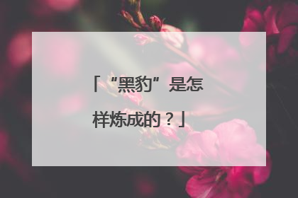 “黑豹”是怎样炼成的？