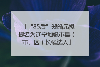 “85后”郑皓元拟提名为辽宁地级市县（市、区）长候选人