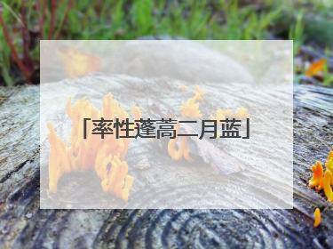 率性蓬蒿二月蓝