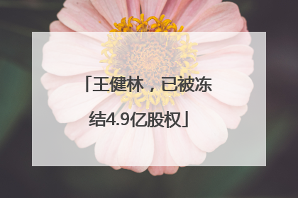 王健林，已被冻结4.9亿股权