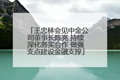 王忠林会见中金公司董事长陈亮 持续深化务实合作 做强支点建设金融支撑