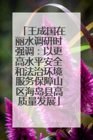 王成国在丽水调研时强调：以更高水平安全和法治环境服务保障山区海岛县高质量发展