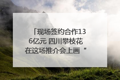 现场签约合作136亿元 四川攀枝花在这场推介会上画“图谱”列“清单”